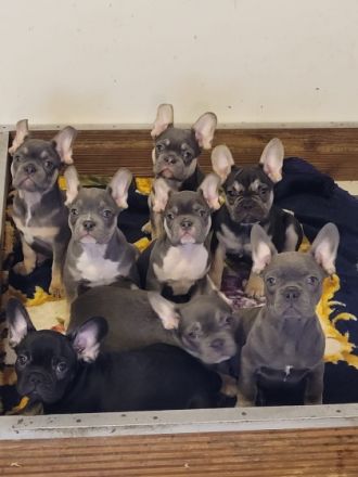 HALLO AN ALLE BULLY FANS!!! Am 12.10.21 sind unsere