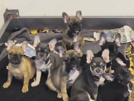 HALLO AN ALLE BULLY FANS!!! Am 12.10.21 sind unsere