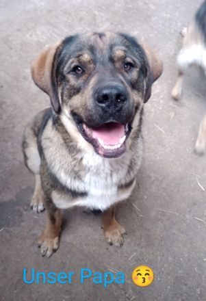 Hallo, hier sind wir nun, etwas älter als 8 Wochen. Wir