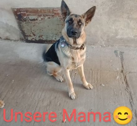 Hallo, hier sind wir nun, etwas älter als 8 Wochen. Wir