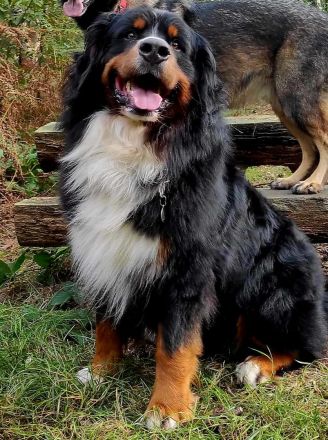 Da Vinci von den Brüner Höhen