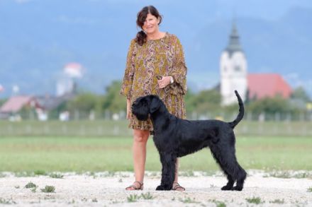 Wir haben Welpen FCI, VDH am 5. Februar sind 4 Rüden