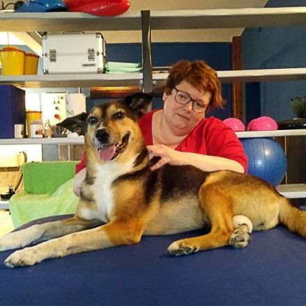 Schnauze, Fell & Pfoten