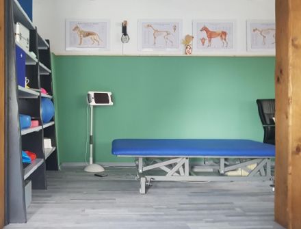 Schnauze, Fell & Pfoten