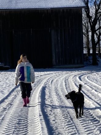 Elis kleine Hundeschule