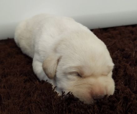 Wir freuen uns, Ihnen mitteilen zu können, dass am 4.