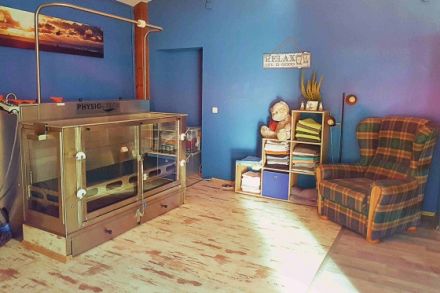 Schnauze, Fell und Pfoten