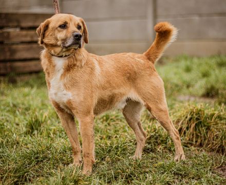ÖRS, bewegungsfreudiger Frauenheld -:)