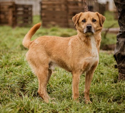 ÖRS, bewegungsfreudiger Frauenheld -:)