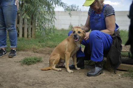 ÖRS, bewegungsfreudiger Frauenheld -:)