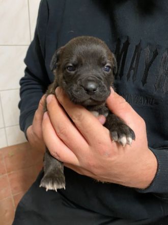 Pünktlich zum Start ins neue Jahr haben wir Kinder der