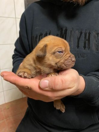 Pünktlich zum Start ins neue Jahr haben wir Kinder der