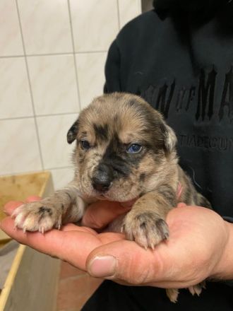 Pünktlich zum Start ins neue Jahr haben wir Kinder der