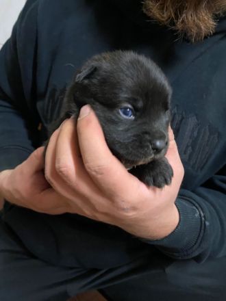 Pünktlich zum Start ins neue Jahr haben wir Kinder der