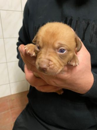 Pünktlich zum Start ins neue Jahr haben wir Kinder der