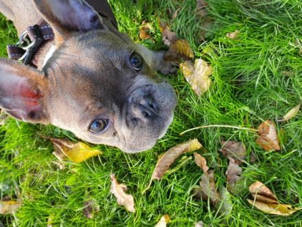 Spike, Hallo zusammen, Wir müssen uns leider von