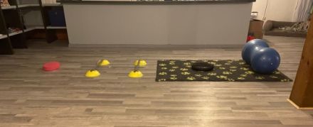 Schnauze, Fell und Pfoten