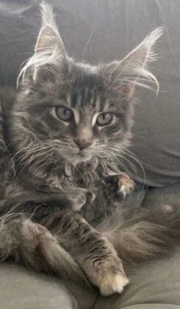 Diva, Hallo zusammen, leider muss ich mich schweren