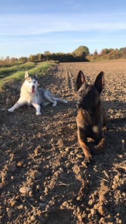 Boy ist erst seit Oktober 2021 bei uns. Wir haben uns