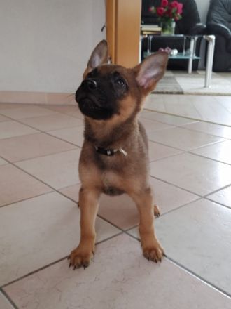 Auf diesem Wege verkaufen wir unsere wunderschönen