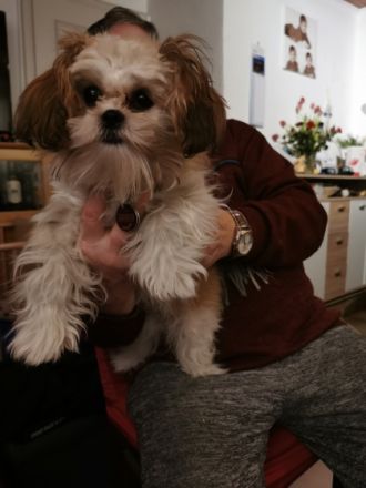 Sie ist geimpft, gechipt und regelmäßig entwurmt