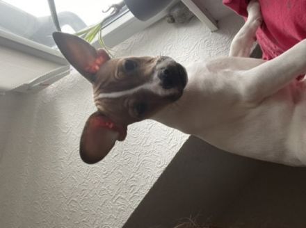 Hallo ihr lieben da draußen. Ich möchte Euch gerne