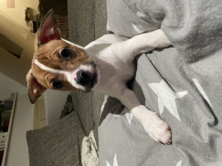 Hallo ihr lieben da draußen. Ich möchte Euch gerne