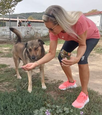 Name: Gino Geschlecht: männlich Alter: geb.ca. Januar