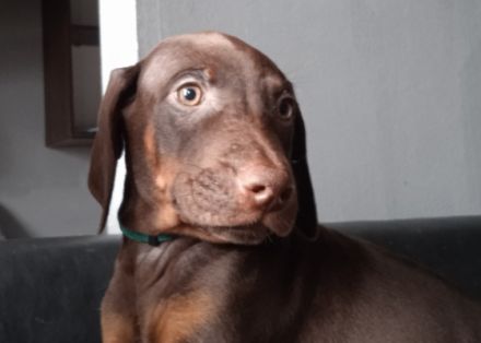 Am 21.11.2021 hat Unsere Rosiwunderschöne Babys auf die