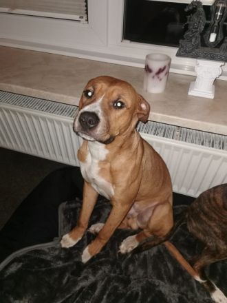 Hallo,ich bin Joel und das neben mir ist mein Bruder