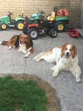 Wir erwarten in den nächsten Wochen unseren zweiten und