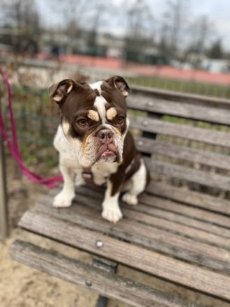 Die kleine Maus wird schweren Herzens abgegeben, aus