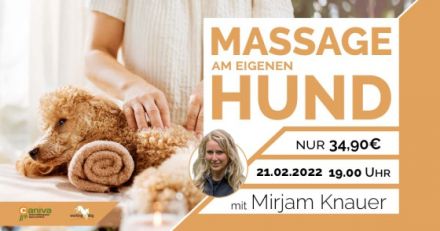 WEBINAR Massage am eigenen Hund