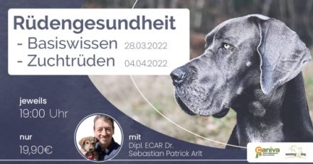 WEBINAR Rüdengesundheit & Zuchtrüden