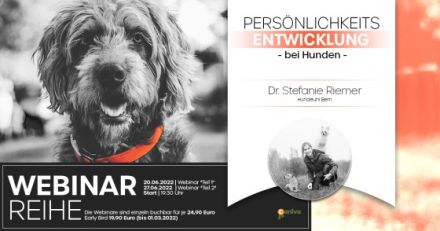 WEBINAR - Persönlichkeitsentwicklung bei Hunden