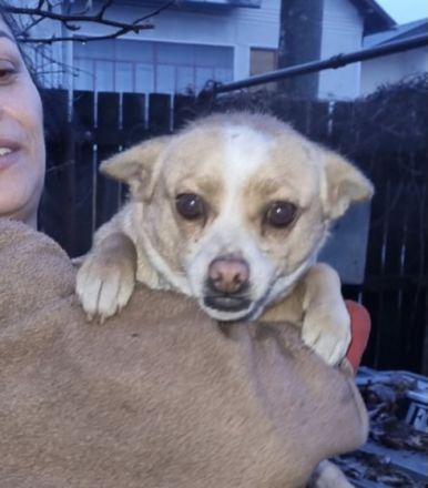 Greta - Knuddelmaus, Unsere kleine Greta, ein ca 4