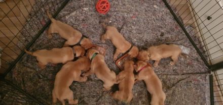 Wir sind da , langersehnt und kerngesund kamen wir am