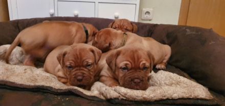 Wir sind da , langersehnt und kerngesund kamen wir am