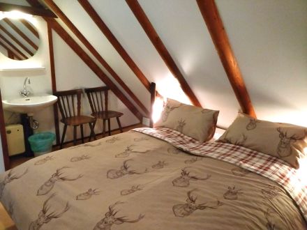 Waldhaus Frankenau - Kellerwald/Edersee