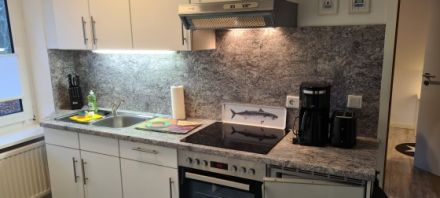 Haus Schau ins Land Wohnung - Friesland