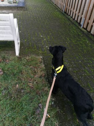 Hallo leider müssen wir uns aus persönlichen Gründen