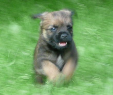 Wir freuen uns, Ihnen mitteilen zu können, dass am 20.