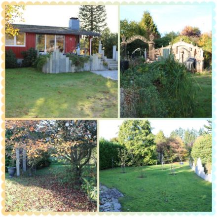 Hundeoase am Brahmsee