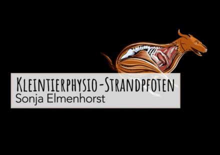 kleintierphysio-strandpfoten