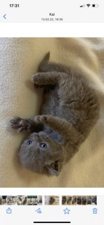 Unsere super süßen kleinen Zwerge suchen ab April ein