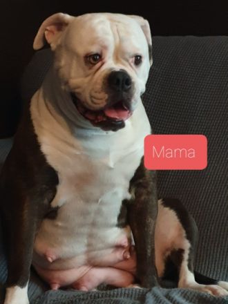 Unsere kleinen Babys, sind am 19.11.21 geboren, wurden