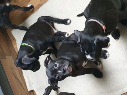 Unsere kleinen Babys, sind am 19.11.21 geboren, wurden