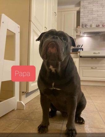 Unsere kleinen Babys, sind am 19.11.21 geboren, wurden