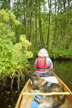 von den Strandsandsammlern