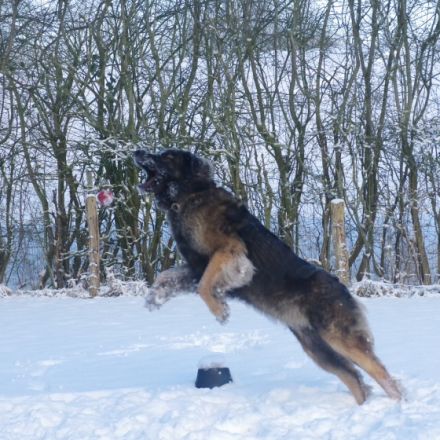 von den Strandsandsammlern